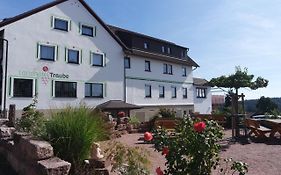 Landhotel Traube Seewald